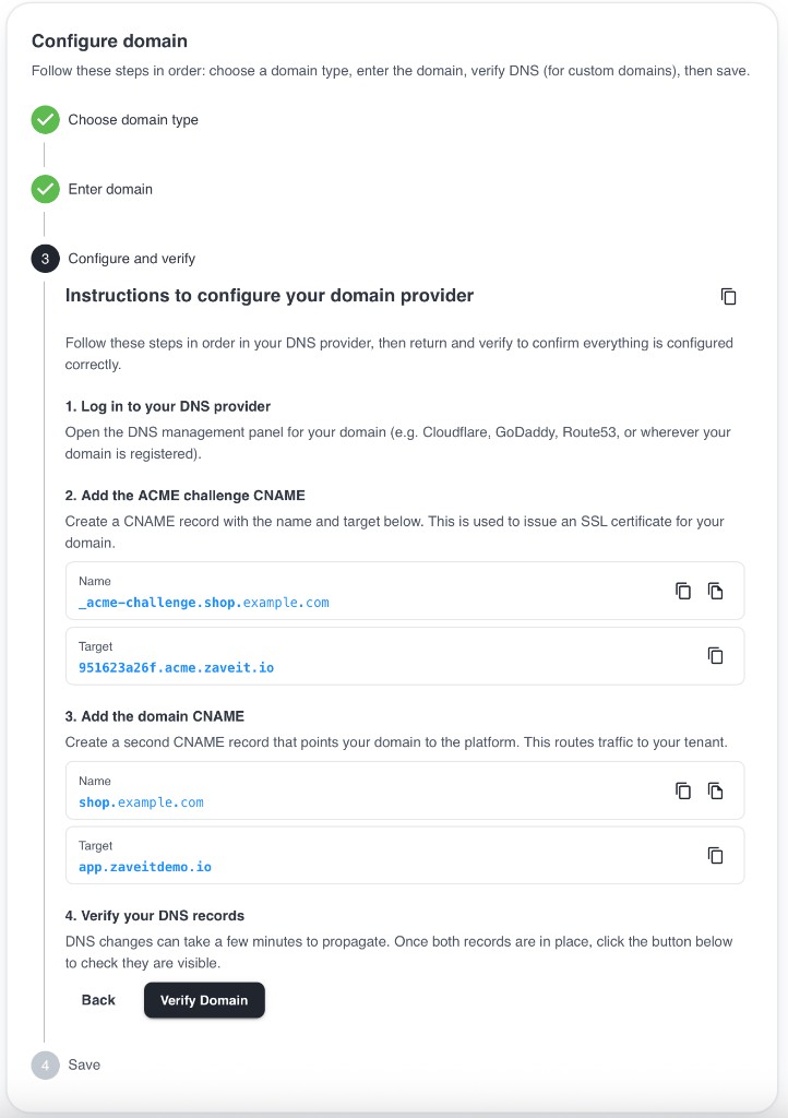 Configure domain, DNS instructions at your provider
